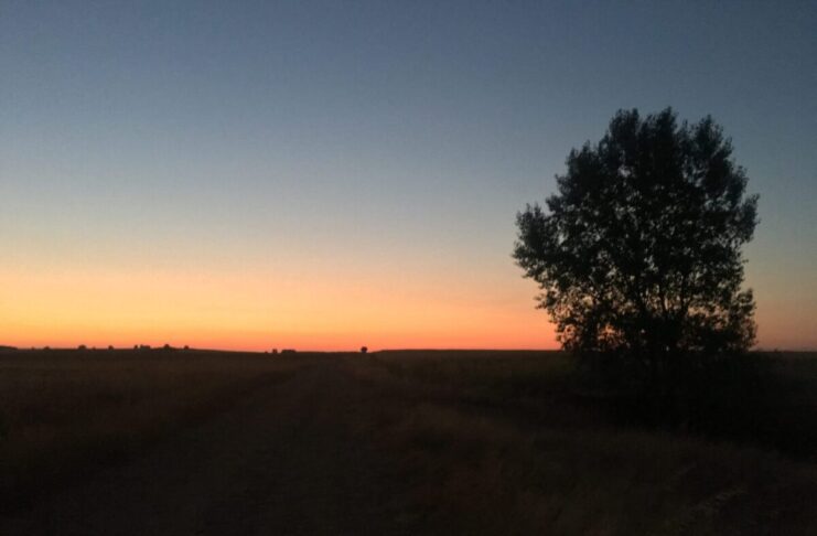Camino De Santiago