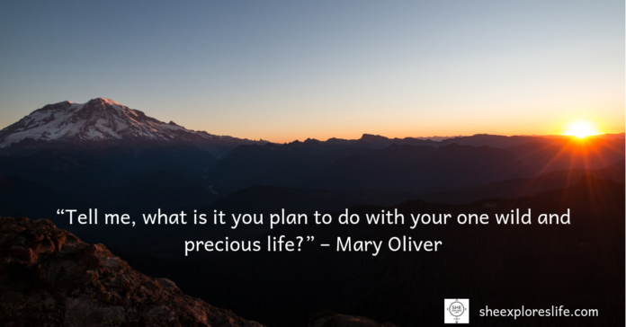mary Oliver quote for new year
