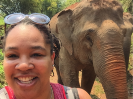 Teaching Abroad