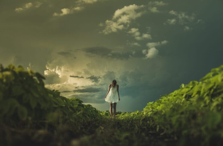 EMDR, Dissociative Identity Disorder