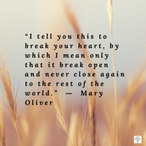 Mary Oliver Quotes, quotes that inspire