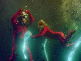 Sea Fever, Movie Review