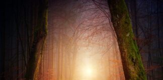 end of the road, poem