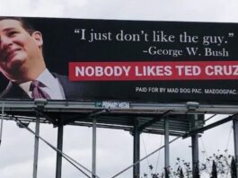 ted cruz,
