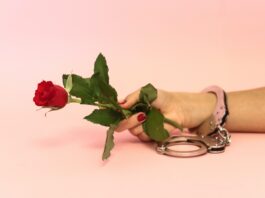 cuffing season, handcuff holding rose